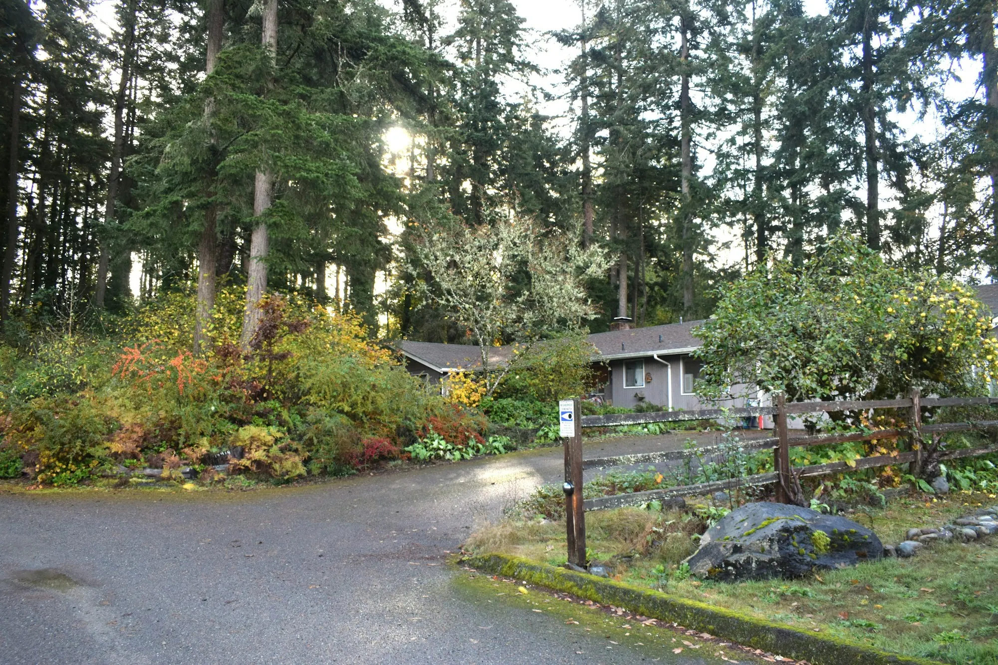 A quiet wooded residential road