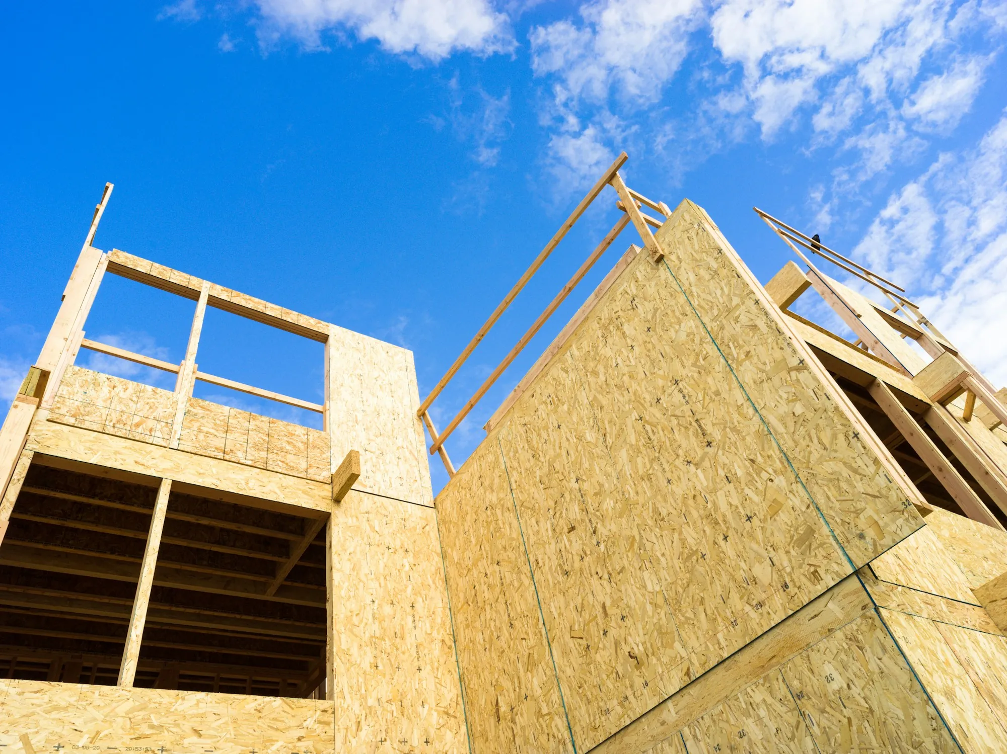 Timber framing of a house under construction